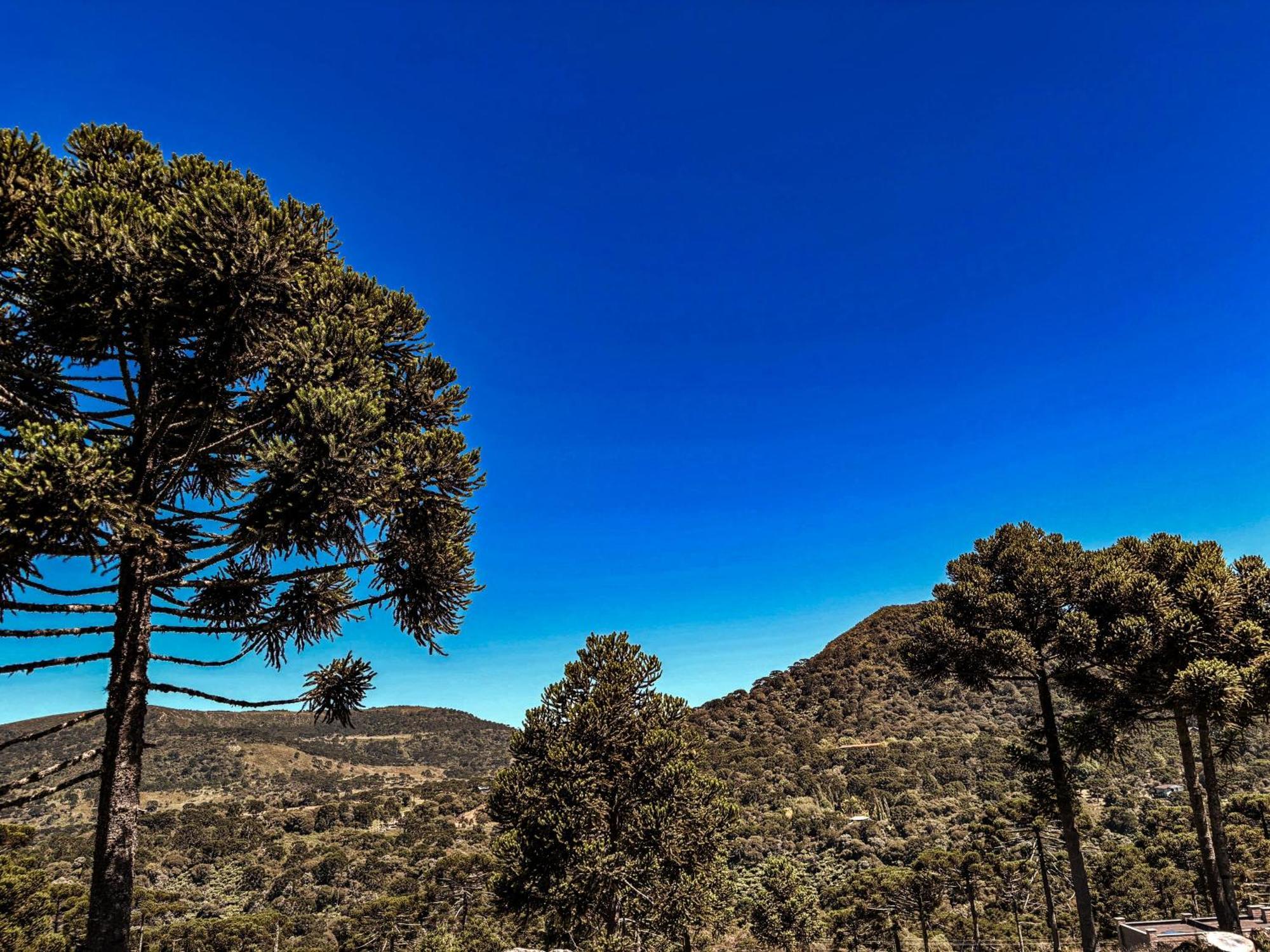 Monte Siao Chateau Urubici Buitenkant foto